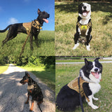 Load image into Gallery viewer, Fast Shipping Military Dog Tactical Harness and Leash Set