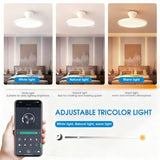 Load image into Gallery viewer, Jelena Invisible Fan Light with 3 Retractable Blades Bedroom Living Room